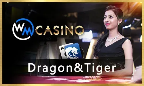 Live Casino Games with Dealers